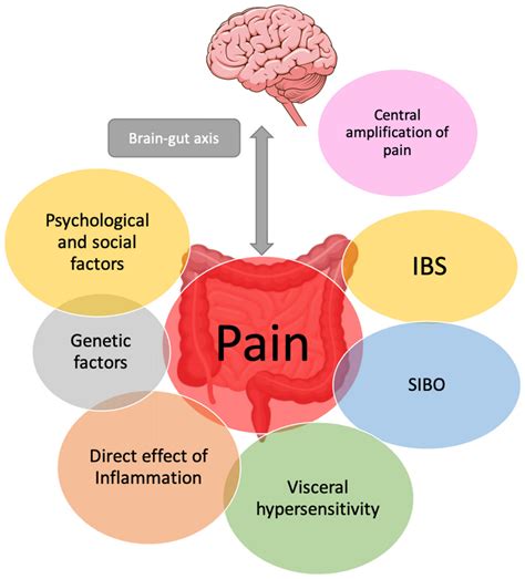 Jcm Free Full Text Abdominal Pain In Inflammatory Bowel Diseases A
