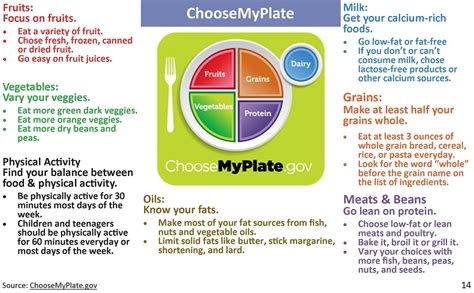 Colour Nutrition An Introduction To Myplate