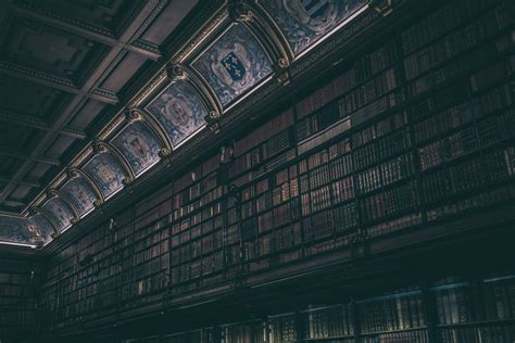 The Interior Of A Vast Library Impressive Library Collection 4k Hd