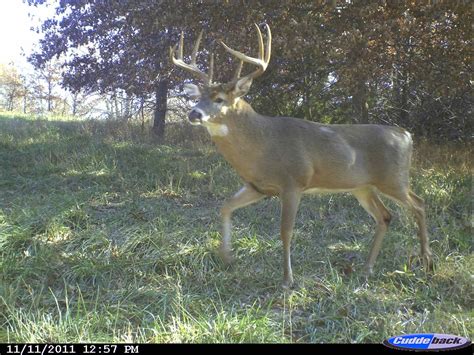 @google earth is a great source for marking down particular encounters from the field and trail cameras. Trail Camera Whitetails!