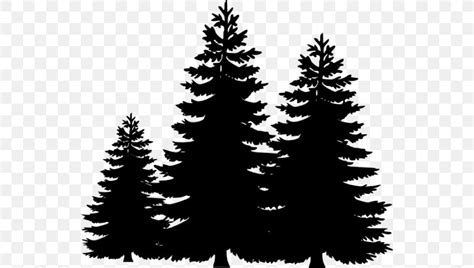 Clip Art Pine Tree Black And White Png Clipart