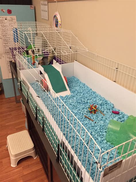 My New And Extended Guinea Pig Cage Combined Two Cages