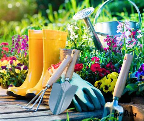 13 Must-Have Tools Used for Gardening Every Beginner Needs gambar png