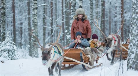 Reindeer Sleigh Rides In Rovaniemi Lapland With Santa Claus Reindeer