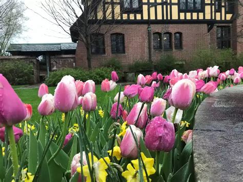 Stan Hywet Hall Gardens Opens For Spring With Entertaining Theme Photos