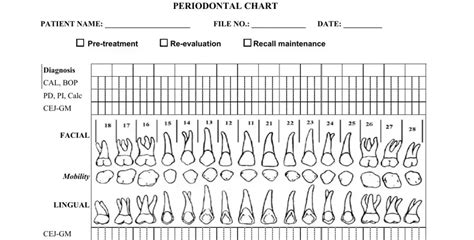 Perio Chart Form ≡ Fill Out Printable Pdf Forms Online