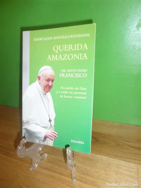 Querida Amazonia Exhortacion Apostolica Postsin Comprar Libros De