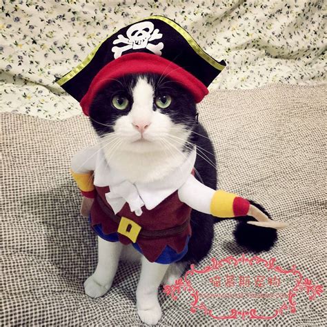 Smallleeluckystore Funny Cat Halloween Costume Pirate Costume Pet