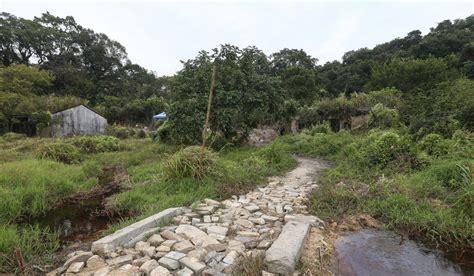 Villager Sues Small Hong Kong Developer In Bid To Get Two Houses Built