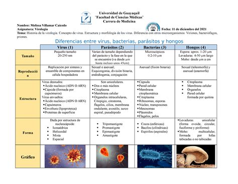 Diferencias entre virus bacterias parásitos y hongos Universidad de