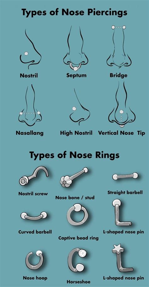 Everything You Need To Know About Nose Piercings