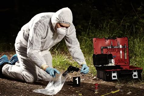What Does A Crime Scene Investigator Do Including Their Typical Day At