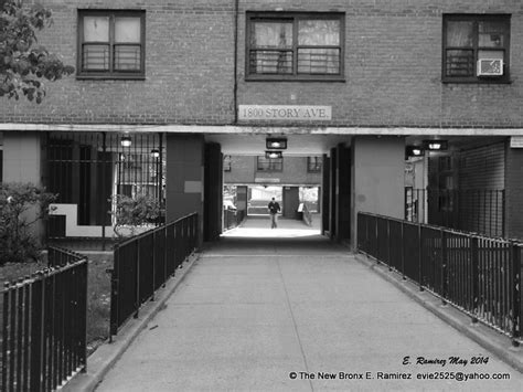 Bronx Photos James Monroe Houses James Monroe Houses Structures