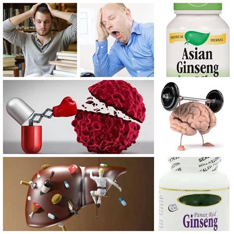 best ginseng capsule pill ginseng revitalizing cream panax ginseng 20 ginsenosides for skin