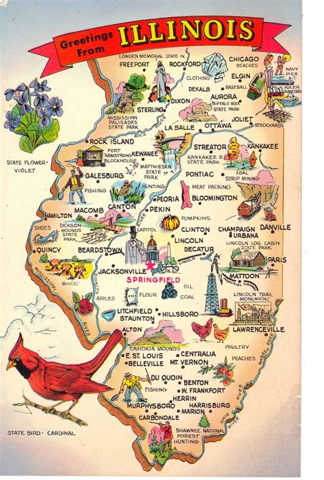 Greetings from Illinois State Map Postcard State Symbols | Etsy