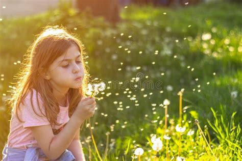 Little Girl In The Park On The Sunny Spring Day Blowing Dandelion