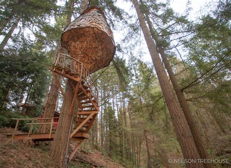 Winding Stairs Design And Construction Nelson Treehouse