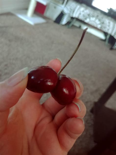 This Double Cherry Rmildlyinteresting