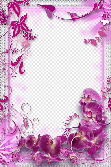 Flower Purple Purple Flowers Border Background Purple Flowers