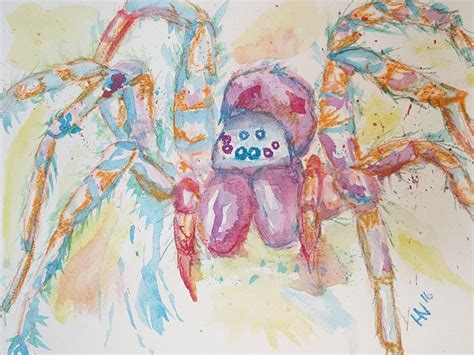 Spider Watercolor By Aznsushi41 On Deviantart