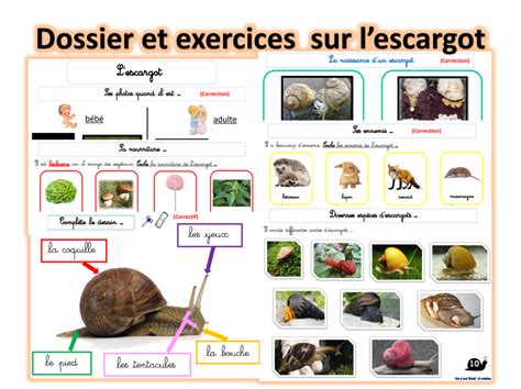 Dossiers pour observer et apprendre la vie des animaux - Dys é moi