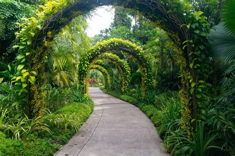Singapore Botanic Gardens Hours Fasci Garden