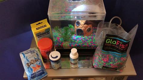 Betta Fish Care 101 Youtube