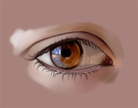 Eye Reflection Study By Leo 25 On Deviantart