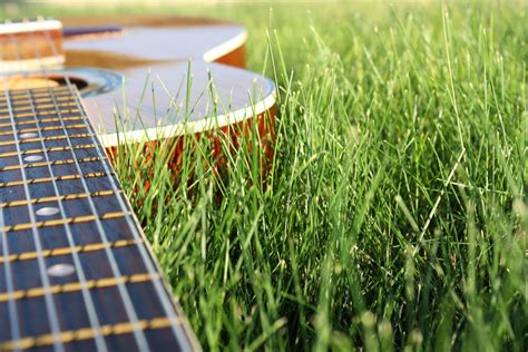 Guitar In The Grass Guitarras