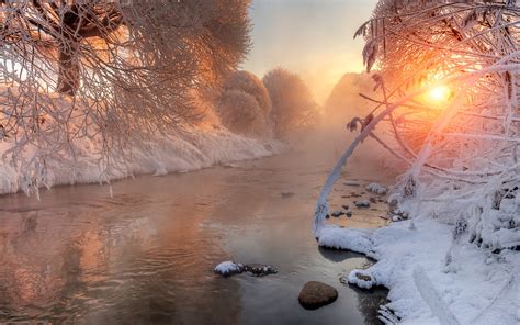 Winter Schnee Bäume Zweige Fluss Morgendämmerung Sonnenlicht