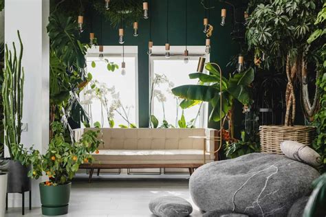 7 Top Reasons To Use Biophilic Interior Design In Your Home