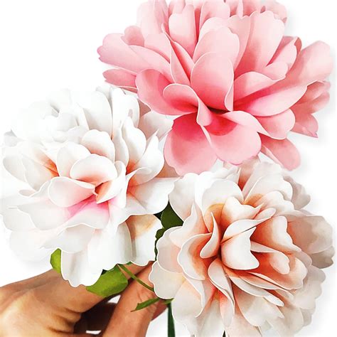 How To Stem A Paper Flower Abbi Kirsten Collections Paper Flowers