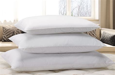 My pillow has sold over 41 million pillows, due mostly to tv infomercials. Down Alternative Eco Pillow | Shop The Exclusive Courtyard ...