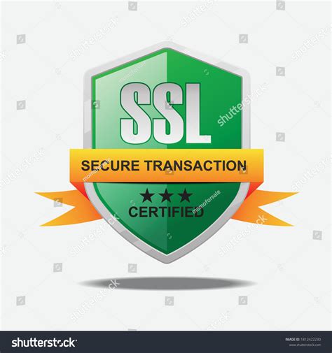Ssl Protection Iconsecure Internet Connection Ssl Stock Vector Royalty