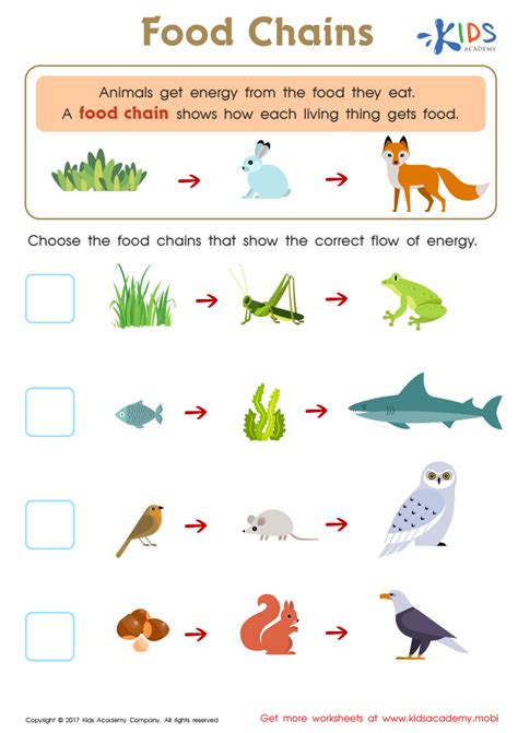 Food Webs And Food Chains Worksheet Free Printable Pdf For Children