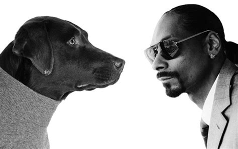 Snoop Dogg Or Real Dog Digg Snoop Dogg Dogg Snoop