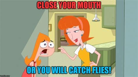 Image Tagged In Momcandace Flynnphineas And Ferb Imgflip