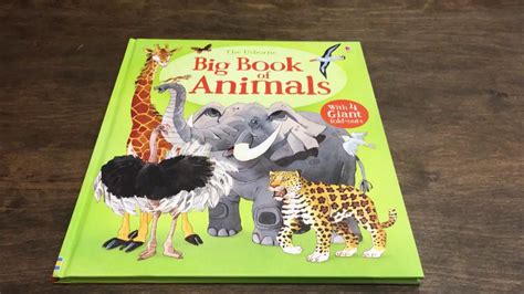 Kids Books Детская книга Usborne Big Book Of Animals Youtube