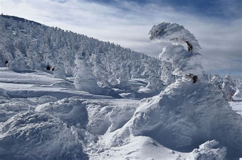 Juhyo The Snow Monsters On Japans Mount Zao The Atlantic