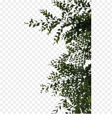 Free Download Hd Png Sidebar Or Overhang Leaves Png By Evelivesey