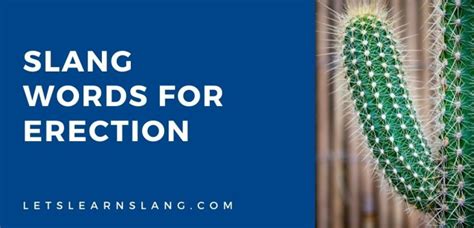 Slang Words For Erection And How To Use Them