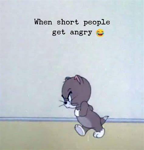 When Short People Get Angry In 2020 Crazy Funny Memes Short Girl