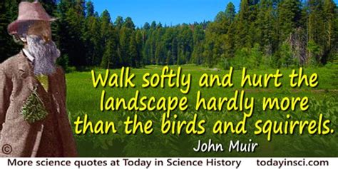 Deforestation Quotes 45 Quotes On Deforestation Science Quotes