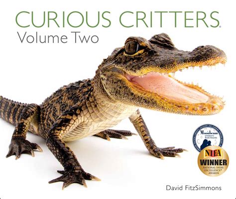 Curious Critters 3 Pack Save 10 Curious Critters