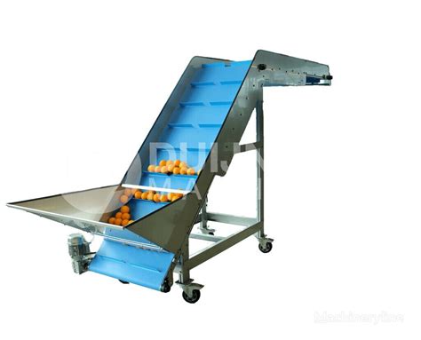Agricultural Conveyor For Sale Netherlands Nieuwerkerk Ad Ijssel Jg36841
