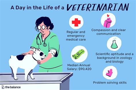Veterinarians Tend To The Healthcare Needs Of Animals Review A Vets