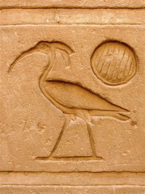 Ibis Hieroglyph Egypt Egyptian Gods Ancient Egypt Ancient Egyptian Art