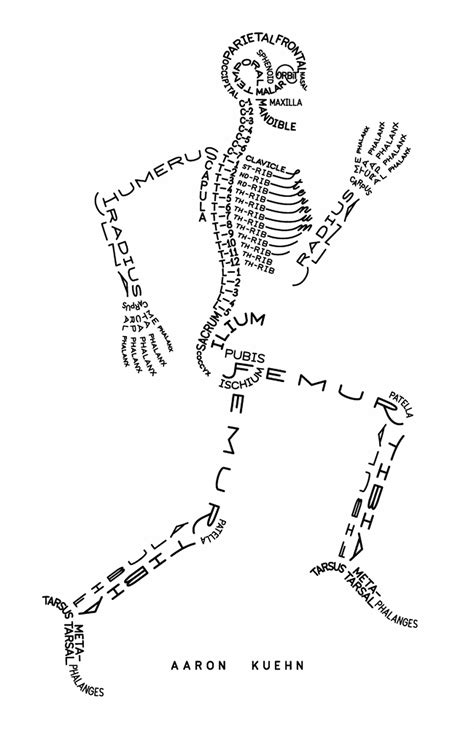 Names Of Your Bones Originally By Aaron Kuehn R Pics Body Bones