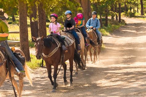 Discover These Horseback Riding Trails Near Estes Park Rocky Mountain