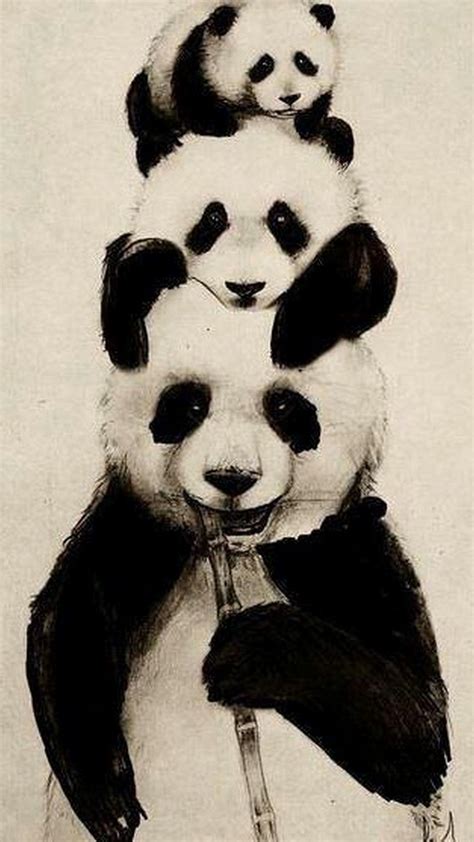 Check spelling or type a new query. Panda Wallpapers (79+ background pictures)